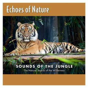 阿姨给你打脚枪
